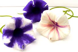 We did not find results for: Mafiz De Hanging Flowers In Purple And White Flower Felted Flowers Hanging Flowers As Window Decoration Felted Flowers For The Window