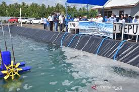 Menteri Edhy Prabowo Dukung Sektor Perikanan Parigi Moutong Antara News Sumatera Barat