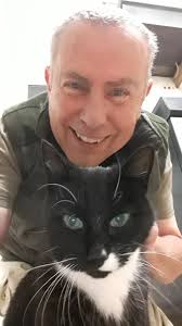 How long does it take for cats to get used to each other?