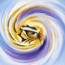 Profil de Danielle Suire (danie54)