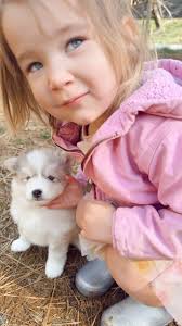 She’s like back off kitten this is my puppy 🤣🤣, Emmy has always been so  amazing with the puppies and now loves helping me get content of them. She  has watched me for so long that when I put one down ...