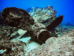 Great dives in Port Royal, Jamaica! We visited the Farewell reef (110ft)  and the wreck of the Cayman Trader (45ft). Visibility was 💯++! Great  service by @yardie_divers! Llewellyn - instructor and guide