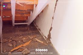 ما هي حشرة الأرضة كيف اقضي على الارضه وما هو سبب وجودها في المنزل By Orkida Pest Medium