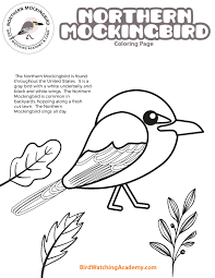 Mockingbird coloring pages are fun for children of all ages and are a great educational tool that helps children develop fine motor skills, creativity and color recognition! Northern Mockingbird Coloring Page Bird Watching Academy