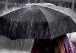 As agradáveis cores acalmam os sentidos com verdes luxuriantes sobre o resplandecente azul do mar — a marca característica dos subtrópicos. Jornal Terras De Sico