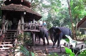 The world's longest tennis match ! Darf Man Noch Auf Elefanten Reiten