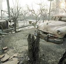 California Wildfire Wildfire Destroys Celebrities Homes Near L A Welt