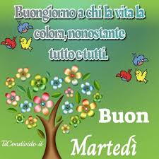 Marisa Testa (marisatestatest)