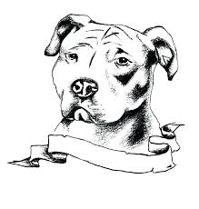 They are active, responsible, adaptable, and loyal, making them easy to train as fighting dogs. Pitbull Coloring Pages Best Coloring Pages For Kids
