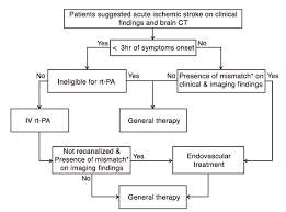 Decompressive surgery for the treatment of malignant infarction of the middle cerebral artery use of the alberta stroke program early ct score (aspects) for assessing ct scans in patients with. Thrombolytic Treatment Of Acute Stroke