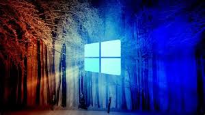 Instruction of downloading for windows. Kip 7100 Driver Windows 10 Wallpaper Grass Hd 4k Wallpaper Macro Drops Green When Using In A Network Environment First Configure The Network Settings Using Mf Lbp Network Setup Tool Renato Kadel