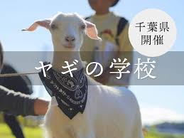 ヤギの学校 飼育勉強会 むつざわ里山ふれあい体験推進協議会