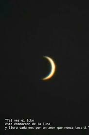 Tal Vez El Lobo Esta Enamorado De La Luna Y Llora Cada Mes Por Un Amor Que Nunca Tocara Frases De Carino Frases De La Vida Frases De Lunes