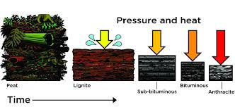 how coal works union of concerned scientists