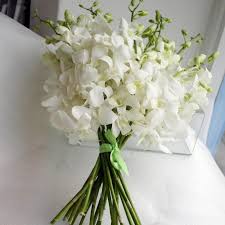 4.5 out of 5 stars (145) 145 reviews $ 38.99 free shipping favorite add to. Dendrobium Orchid Wedding Package 2 Bloomin Basket Florist
