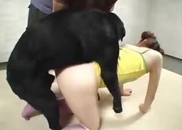 Temos aqui os melhores quadrinhos porno de sexo da internet. Site De Videos Com Animais Japonseses Com Belezas Jav A Foderem Caes E Muito Mais