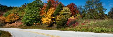 Secure ordering 24 hours a day. The Best Available Hotels Places To Stay Near Poplar Bluff Mo