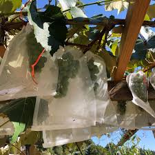 Virginia Easterday (@jinnieasterday) • Instagram photos and videos