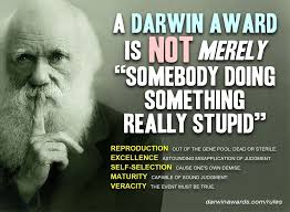 DARWIN AWARDS CANCELLED — TOO MANY CANDIDATES
