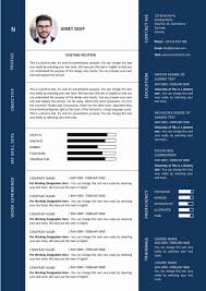 Modern Graphic Designer Resume Template Ms Word Format Download