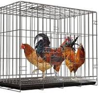 Amazon.com: Gallinero grande al aire libre, jaula de metal ...