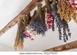 If you are only drying the flower heads, not the stems, you can lay the flowers out individually on a screen. Shutterstock Puzzlepix
