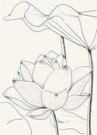 Fiori disegnare passo dopo passo disegno a matita facile kawaii in realtà. 900 Idee Su Disegni Di Fiori Nel 2021 Disegno Fiori Disegni Fiori
