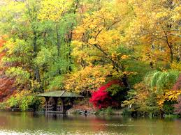 Get the best of insurance or free credit report, browse our section on cell phones or learn about life insurance. Free Download Beautiful Fall Scenery Wallpapers Desktop Wallpapers 1024x768 For Your Desktop Mobile Tablet Explore 46 Free Scenic Desktop Wallpaper 1024x768 1024 X 768 Desktop Wallpaper 1024x768 Wallpapers Hd Google Free Wallpaper 1024x768