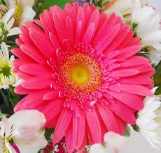 Maybe you would like to learn more about one of these? Top 10 Flowers For A First Date Real Food Real Kitchens