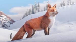 Today we take a look at the location of the skunk in red dead redemption 2, as well as the weapon needed to. All Animal Locations Guide Rdr2 Org