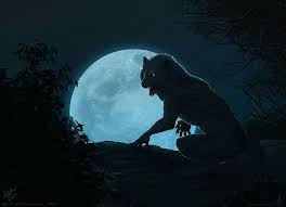 ✓ free for commercial use ✓ high quality images. Wolves And Fantasy About Facebook