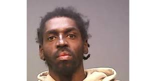 Gallion murder suspect in custody