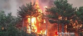 9 hours ago · в четверг, 29 июля, лесной пожар вспыхнул близ города гюверчинлик на полуострове бодрум в турции. Na Zapade Turcii Bushuet Lesnoj Pozhar
