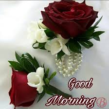 You're excited to get up in the morning. Good Morning My Friend With Flowers Hutomo Sungkar