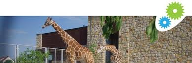 It is situated in the southern part of lublin voivodeship, about 90 km (56 mi) from lublin, 247 km (153 mi) from warsaw. Z Wizyta W Zoo Zamosc Fabryka Podrozy Wycieczki Szkolne I Firmowe Biuro Podrozy Lublin