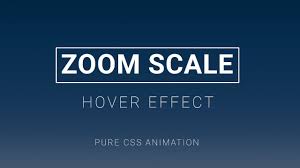 Css Zoom Scale Image Hover Effect In 2020 Css Image Hover