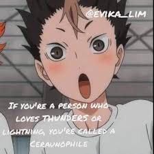 'because people don't have wings. Haikyuu Memes Nishinoya Yuu Wattpad