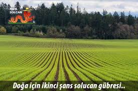 Mevsimlerin Kirmizi Kaliforniya Solucani Uzerinde Etkisi Solucan Gubresi Kaliforniya Ispanya Gubre