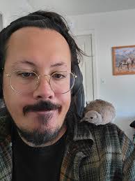 What to do with a baby collared dove found in a windstorm?