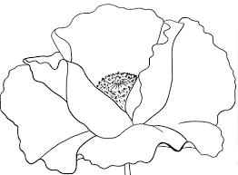 Pin On Drawing