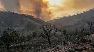 Las autoridades son optimistas y. Sobre O Incendio Florestal Na Serra De Monchique Partido Comunista Portugues