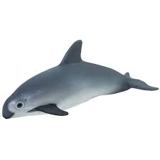 Bab.la is not responsible for their content. Safari Ltd Wild Safari Sealife 100101 Kalifornischer Schweinswal 4 98