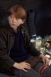 Sunshine Daisies Butter Mellow Turn This Stupid Fat Rat Yellow Rap Ron Weasley Weasley Harry Potter Ronald Weasley Harry Potter Characters