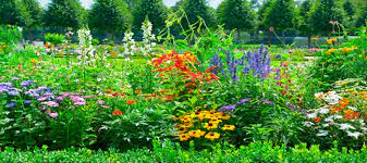 We did not find results for: Creating Layered Flower Beds Dave S Garden