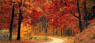 The most sparsely populated state in the union, the best places to visit in wyoming are filled with spectacular landscape. 13 Best Fall Camping Spots In The U S Where To Camp In October