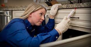 They cause physical, chemical, and biological contaminations of foods. American Pest Maryland Home Pest Control Experts Since 1925