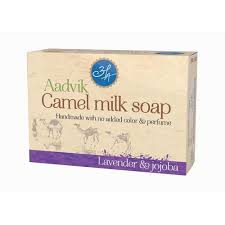 In kazakhstan, it's called shubat. Camel Milk In Bikaner Camel Milk Dealers Traders In Bikaner Rajasthan