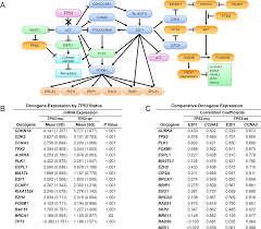 These two types of cancers grow, spread, and are treated in different ways, so making a distinction between these two types is important. Plos One Association Of A Novel Endometrial Cancer Biomarker Panel With Prognostic Risk Platinum Insensitivity And Targetable Therapeutic Options