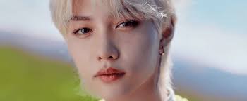 Profilo di Felix (Stray Kids)