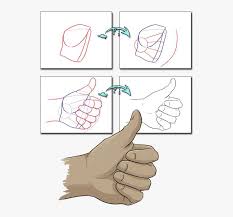 The image is png format and has been processed into transparent background by ps tool. Hand Drawing Tutorial In Case I Ever Need To Draw Draw Anime Thumbs Up Png Image Transparent Png Free Download On Seekpng